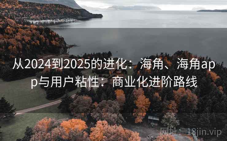 从2024到2025的进化:海角、海角app与用户粘性:商业化进阶路线