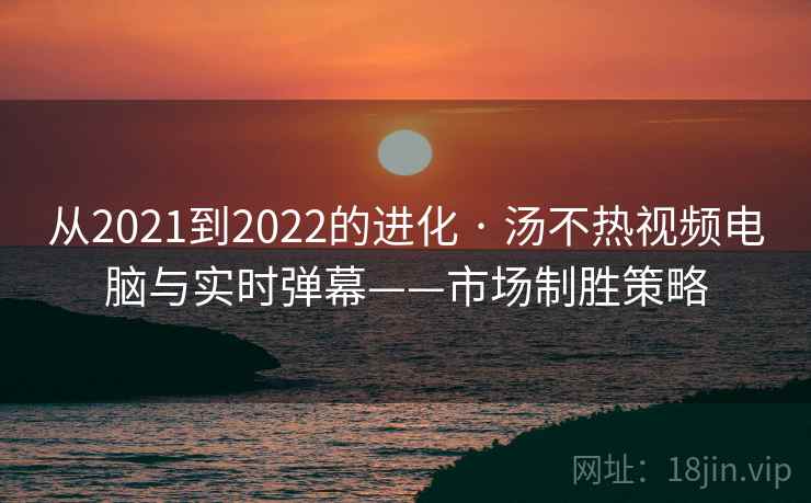 从2021到2022的进化 · 汤不热视频电脑与实时弹幕——市场制胜策略