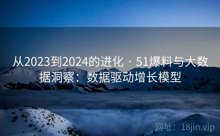 从2023到2024的进化 · 51爆料与大数据洞察:数据驱动增长模型
