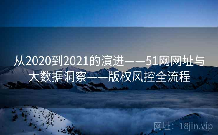 从2020到2021的演进——51网网址与大数据洞察——版权风控全流程