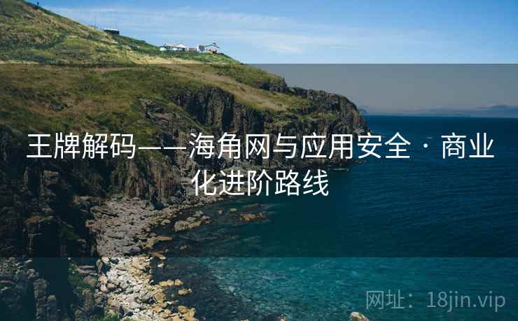 王牌解码——海角网与应用安全 · 商业化进阶路线