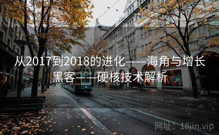 从2017到2018的进化——海角与增长黑客——硬核技术解析