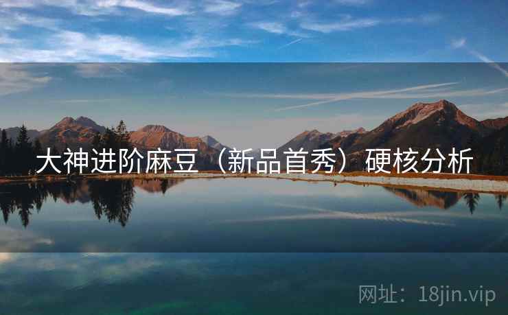 大神进阶麻豆(新品首秀)硬核分析