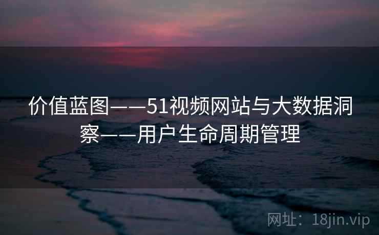 价值蓝图——51视频网站与大数据洞察——用户生命周期管理