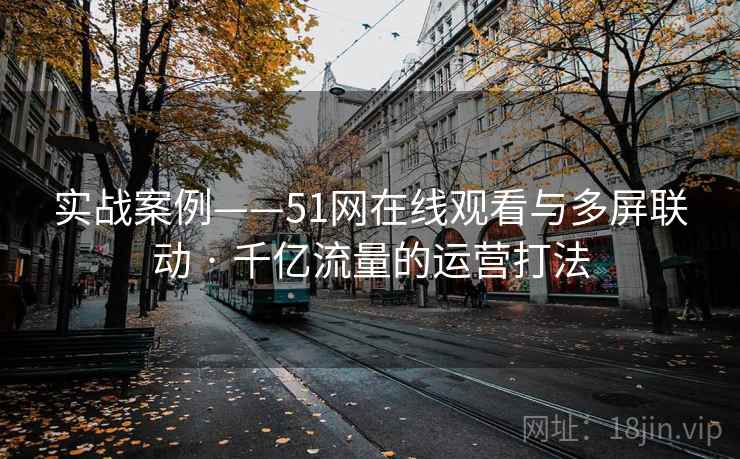 实战案例——51网在线观看与多屏联动 · 千亿流量的运营打法