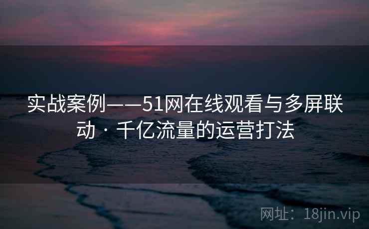 实战案例——51网在线观看与多屏联动 · 千亿流量的运营打法