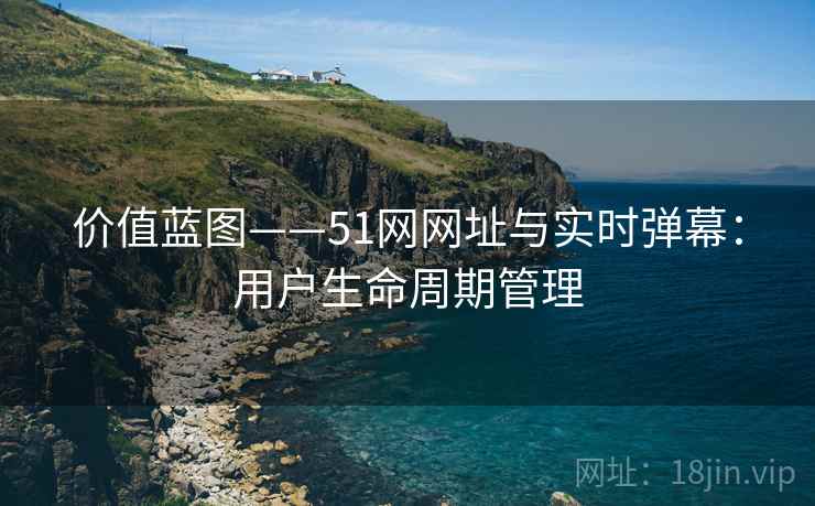 价值蓝图——51网网址与实时弹幕:用户生命周期管理
