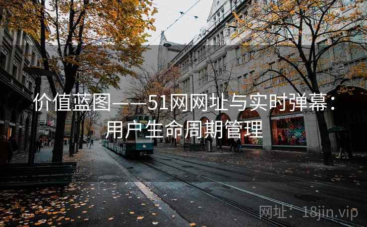 价值蓝图——51网网址与实时弹幕:用户生命周期管理