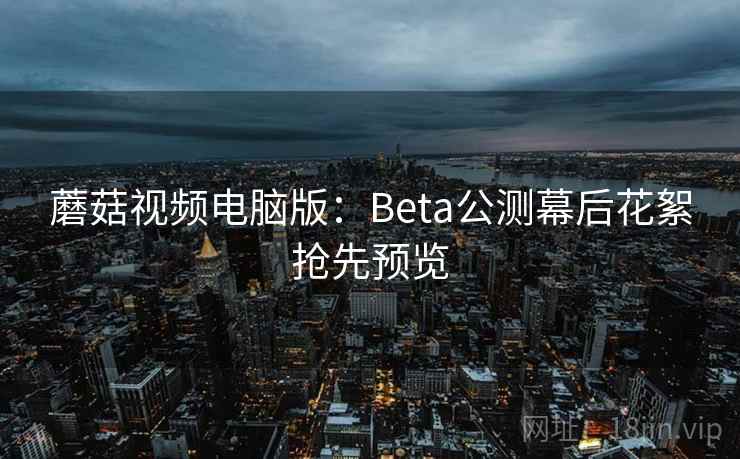 蘑菇视频电脑版:Beta公测幕后花絮抢先预览