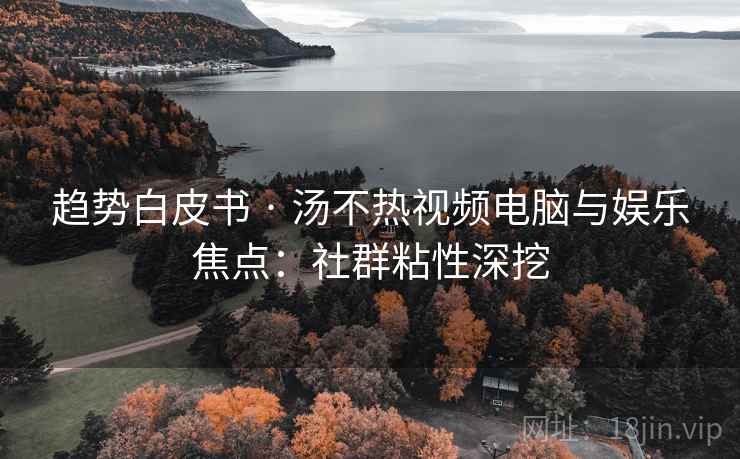 趋势白皮书 · 汤不热视频电脑与娱乐焦点：社群粘性深挖